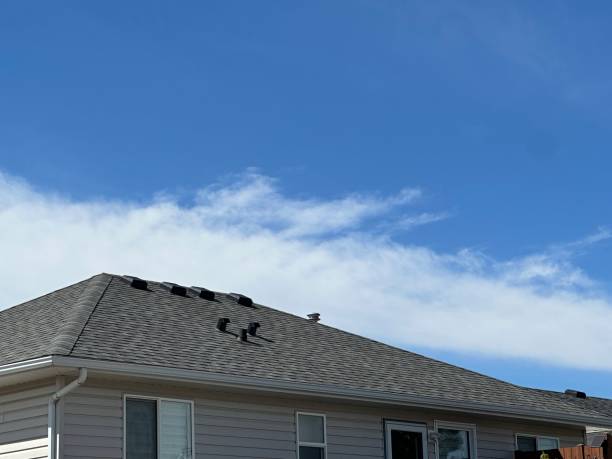 Fast & Reliable Emergency Roof Repairs in Ignacio, CO